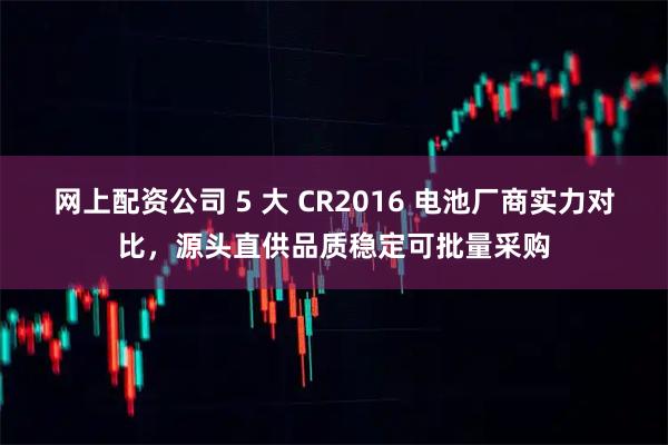 网上配资公司 5 大 CR2016 电池厂商实力对比，源头直供品质稳定可批量采购