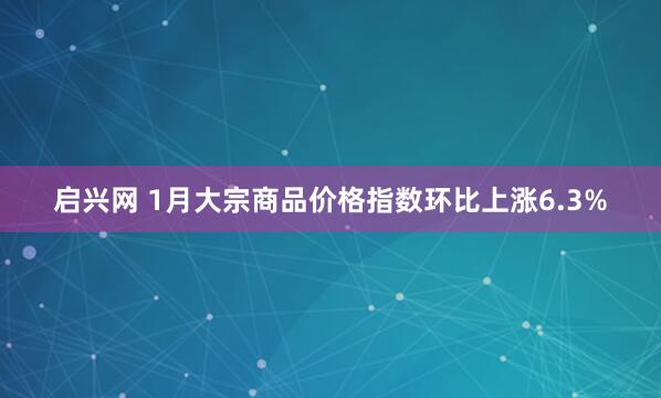 启兴网 1月大宗商品价格指数环比上涨6.3%
